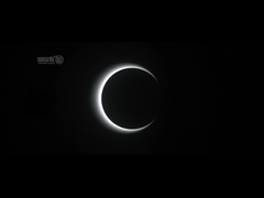 AC100-240V スピードゲート回転木戸オフィスビル光学式スピードバリアゲート